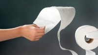Eco-friendly Toilet Paper Wholesale Biodegradable 1/2/3/4 size
