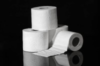Eco-friendly Toilet Paper Wholesale Biodegradable 1/2/3/4 size