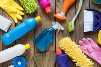 Dishwasher cleaner Wholesale Made in China